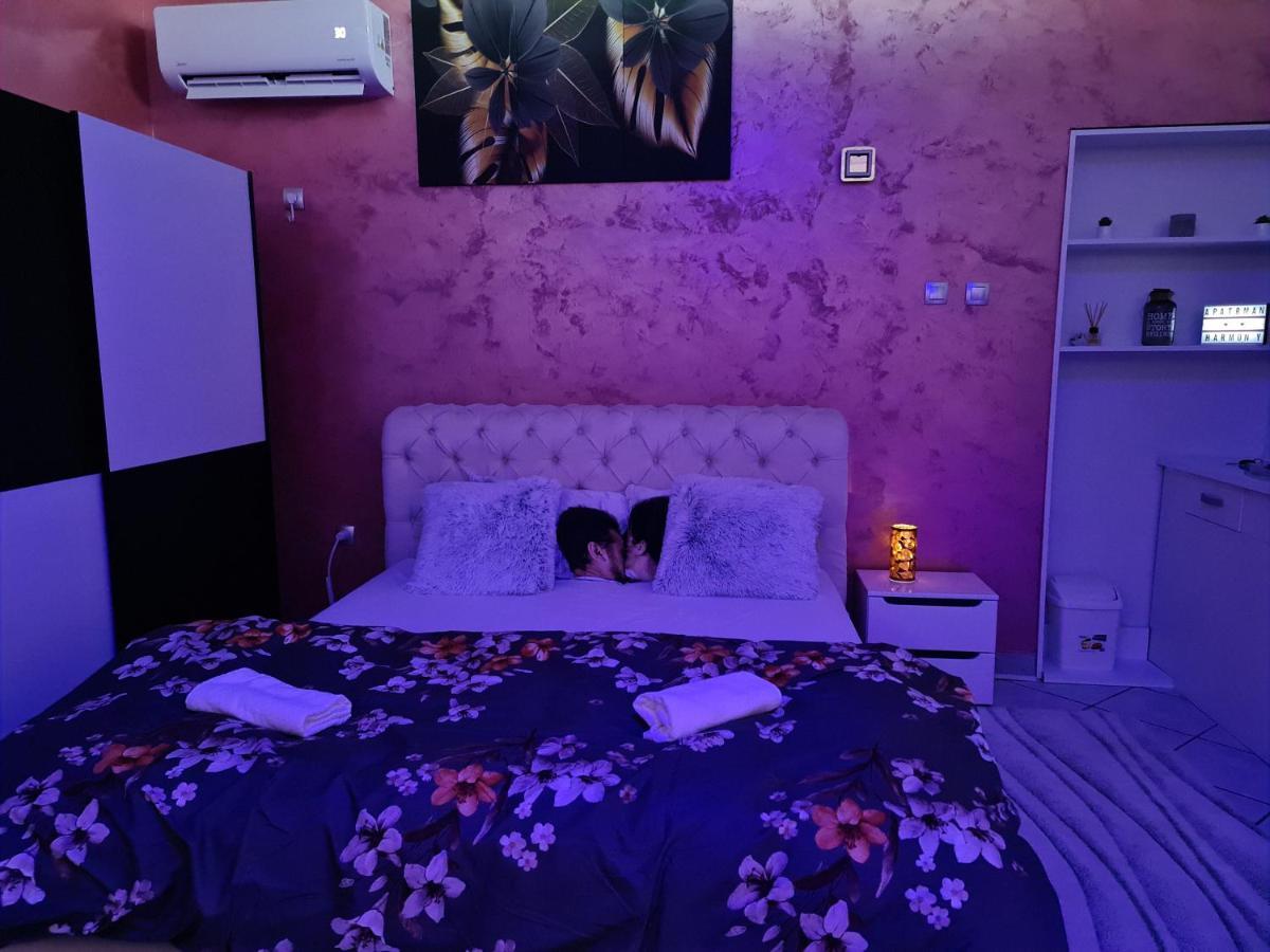 Apartman -Harmony- Paracin Exterior photo