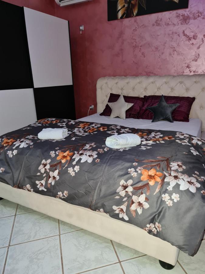 Apartman -Harmony- Paracin Exterior photo